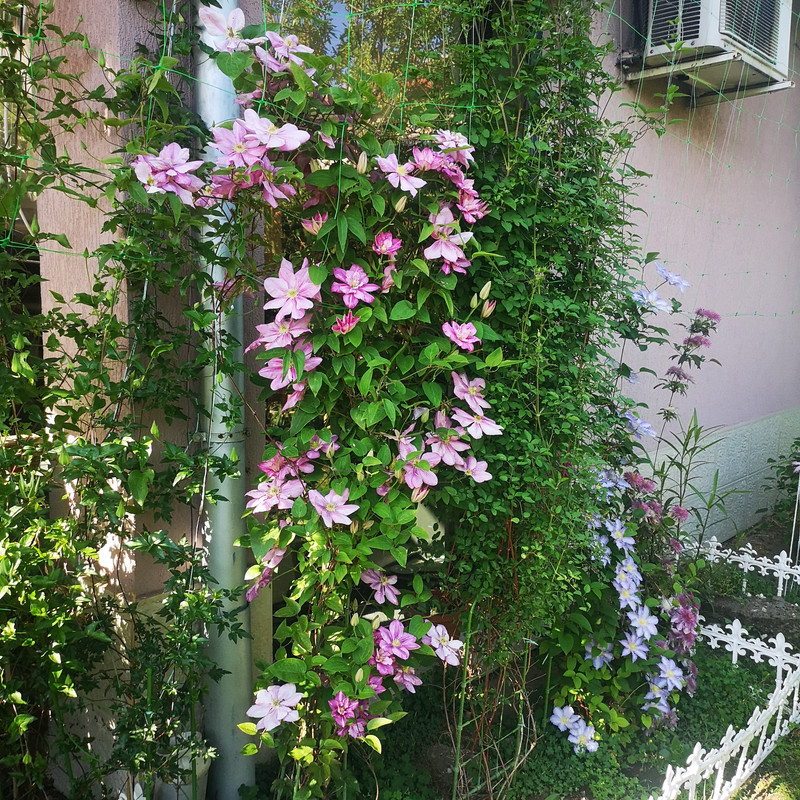IMG_20200509_174031