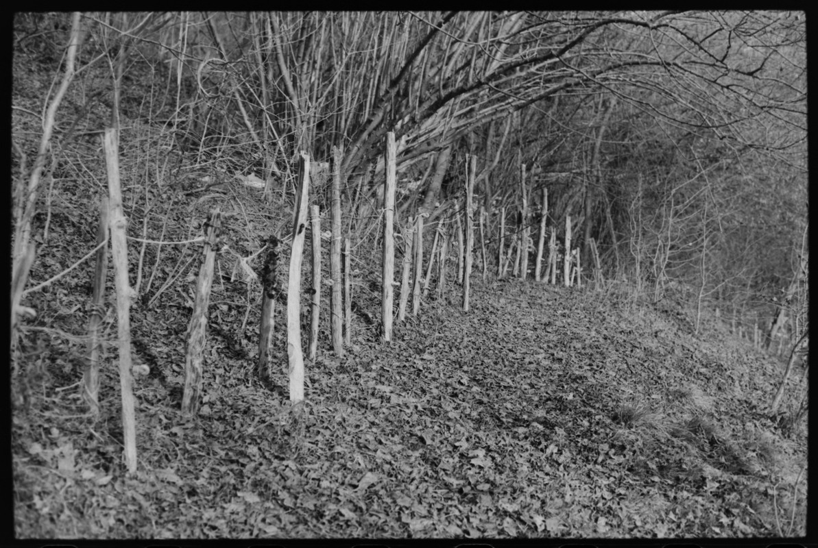 Leicaflex Standard_01gen2022_16 (1280x858)