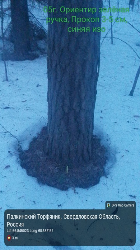 photo 4 2026 03 28 19 23 58