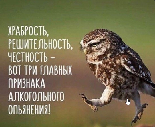 Признаки алкогольного опьянения