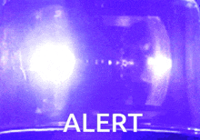 [Image: purple-alert-1.gif]