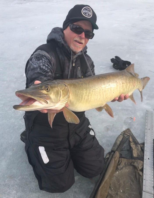 52738306_1188601277971087_5595455308437651456_n