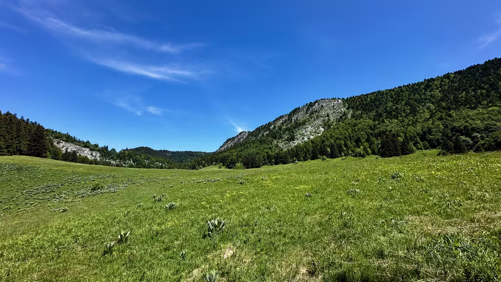 https://i.postimg.cc/1zqHKYtf/IMG-9344.avif