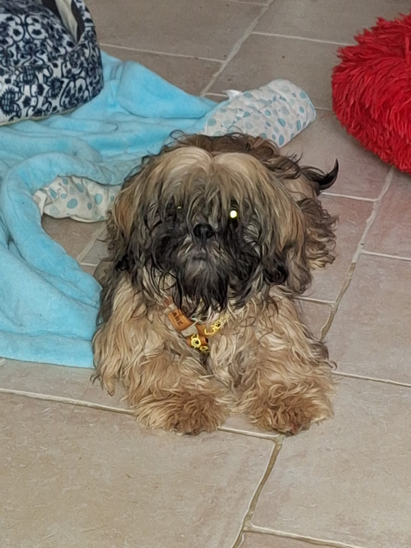 [Image: 20231230-133443.jpg]