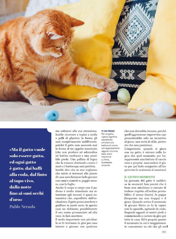 Ga Ma Feb-Mar 2025 (12)