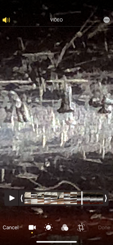 5E2E05D1-2CC8-474D-B499-F4A214A91C67