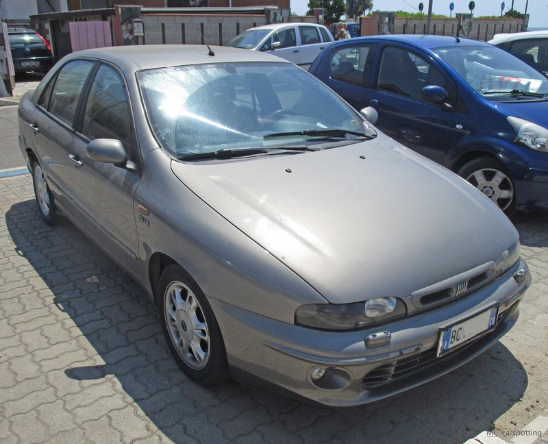 IMG-7395.jpg