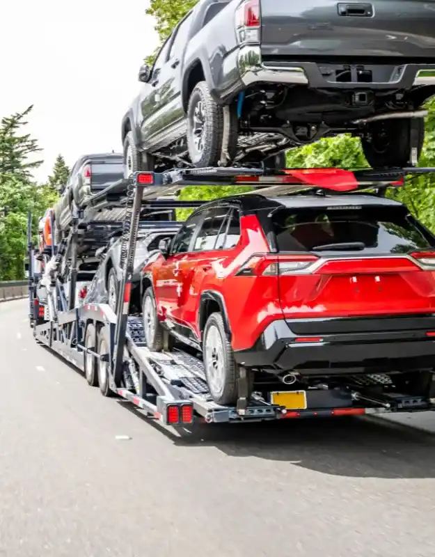 vente véhicule a un professionnel