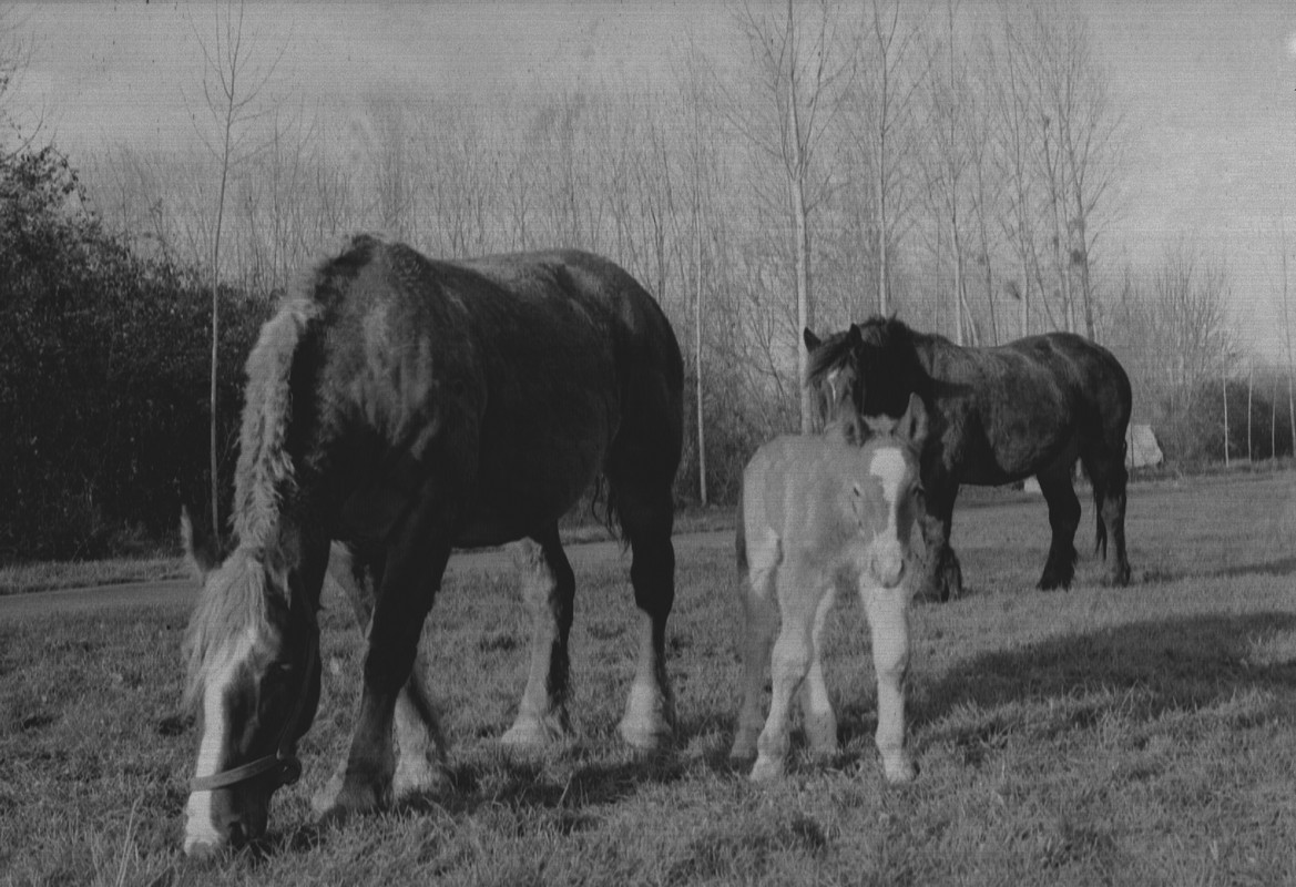 Scan2020-08-14_142241