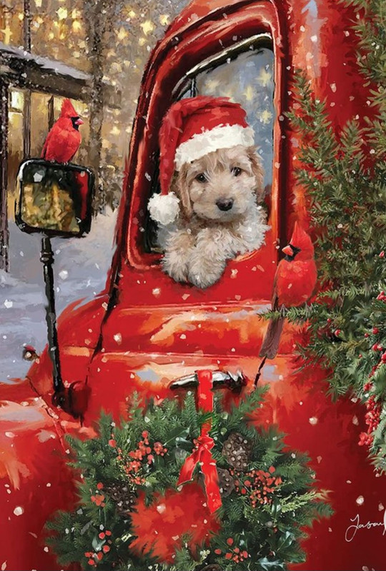 Screenshot_20230201_004545_Chrome