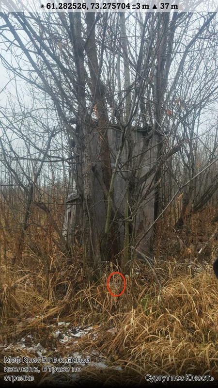 photo 5 2025 10 27 10 07 38