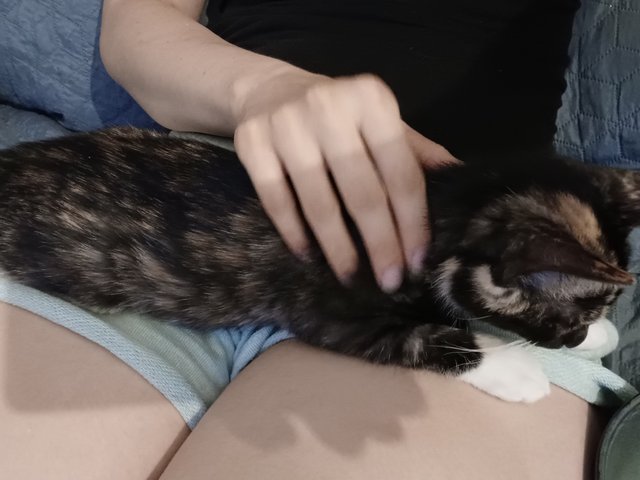 Slika