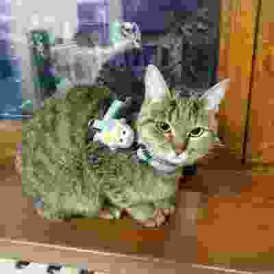 F52D30E9-6B7E-45FD-B269-A6B4FED26BBC