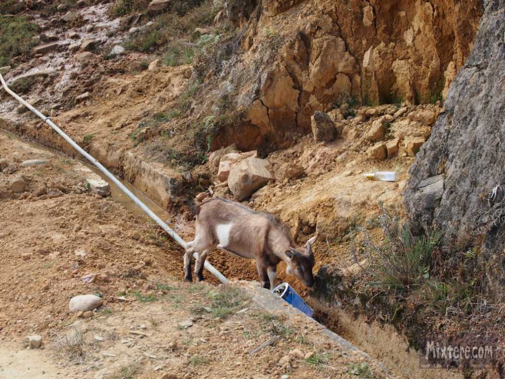 BBG&B24MechuckaVillage - 12