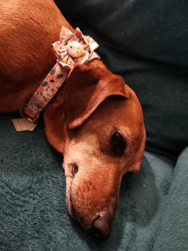 [Image: image000000-150.jpg]