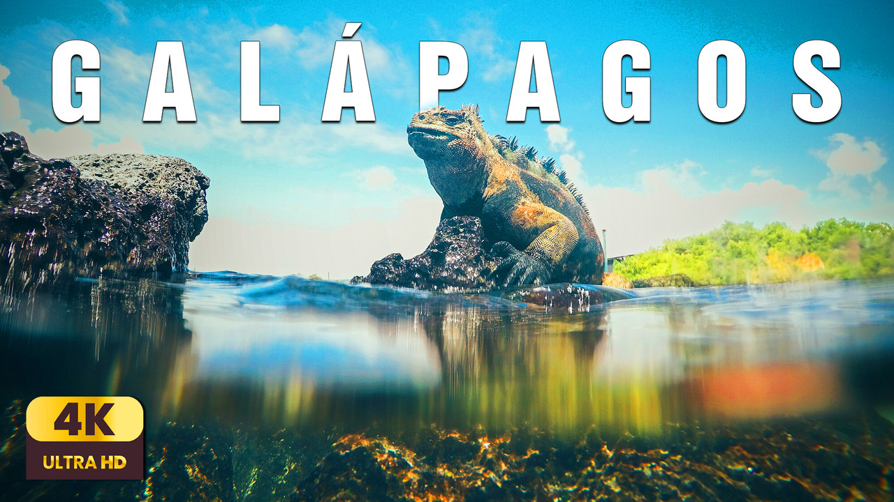 Galápagos – The Islands of Time | Relaxing Ocean Ambience & Nature Sounds 4K