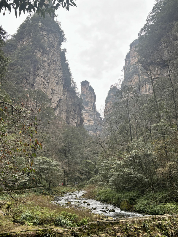 Día 8: Gran Cañón y segundo día en PN Zhangjiajie - Disfrutando de China por libre en 18 días (Marzo 2026) (9)
