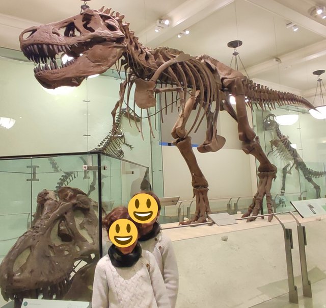 Vista icónica en Dumbo, bicis Central Park, Museo Historia y Little Italy - Nueva York y Cataratas del Niágara 2023 (33)