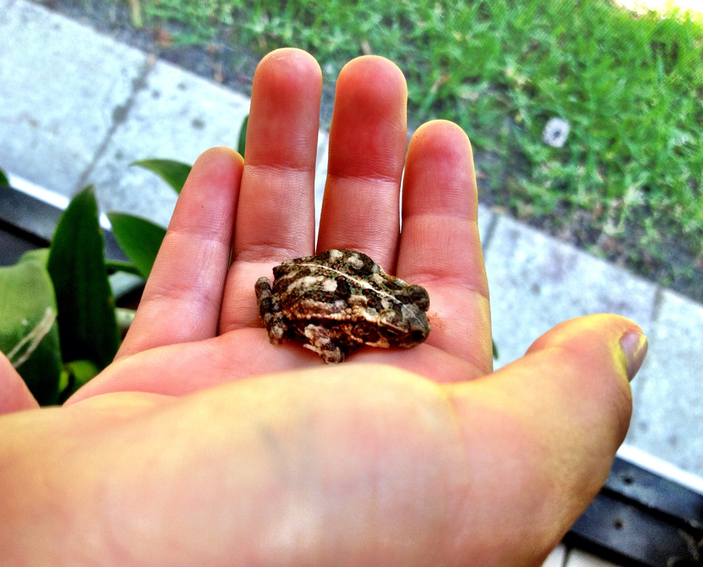 DC862A05-9AF1-44F7-9509-5B278336A284