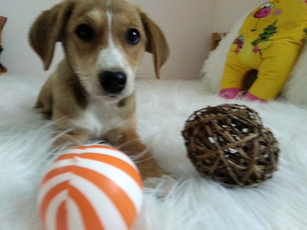 изображение_viber_2019-09-15_17-34-46