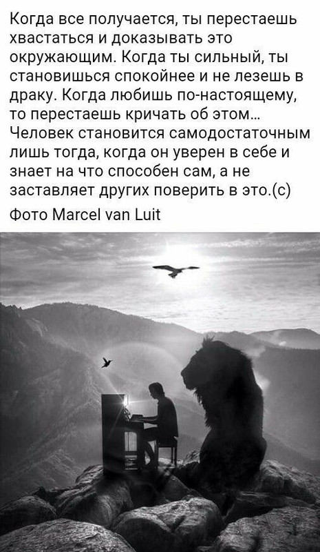 [Изображение: photo-2025-07-11-07-19-11.jpg]