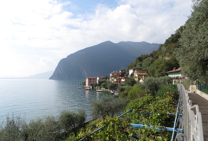 22-IMG_7334
