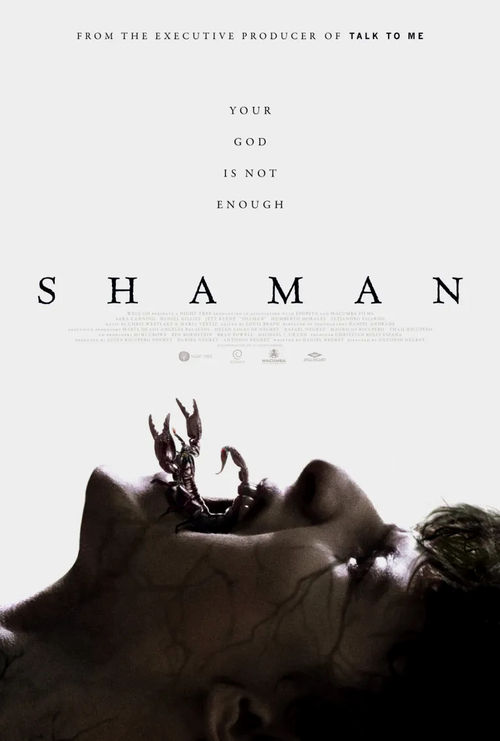 Szaman - Shaman (2025) PL.1080p.AMZN.WEB-DL.H.264-RX / Lektor PL