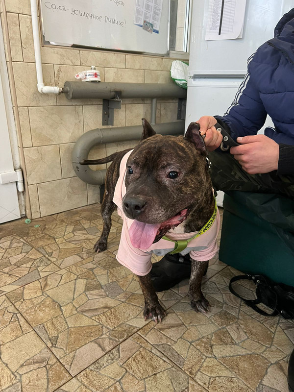 WhatsApp Image 2024-01-16 at 11.07.49 (1)