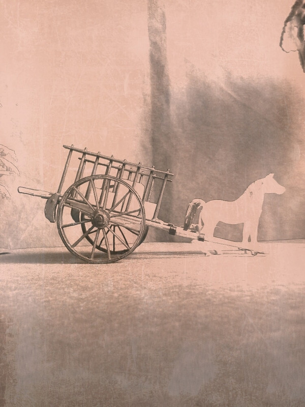 Carro Manchego 02