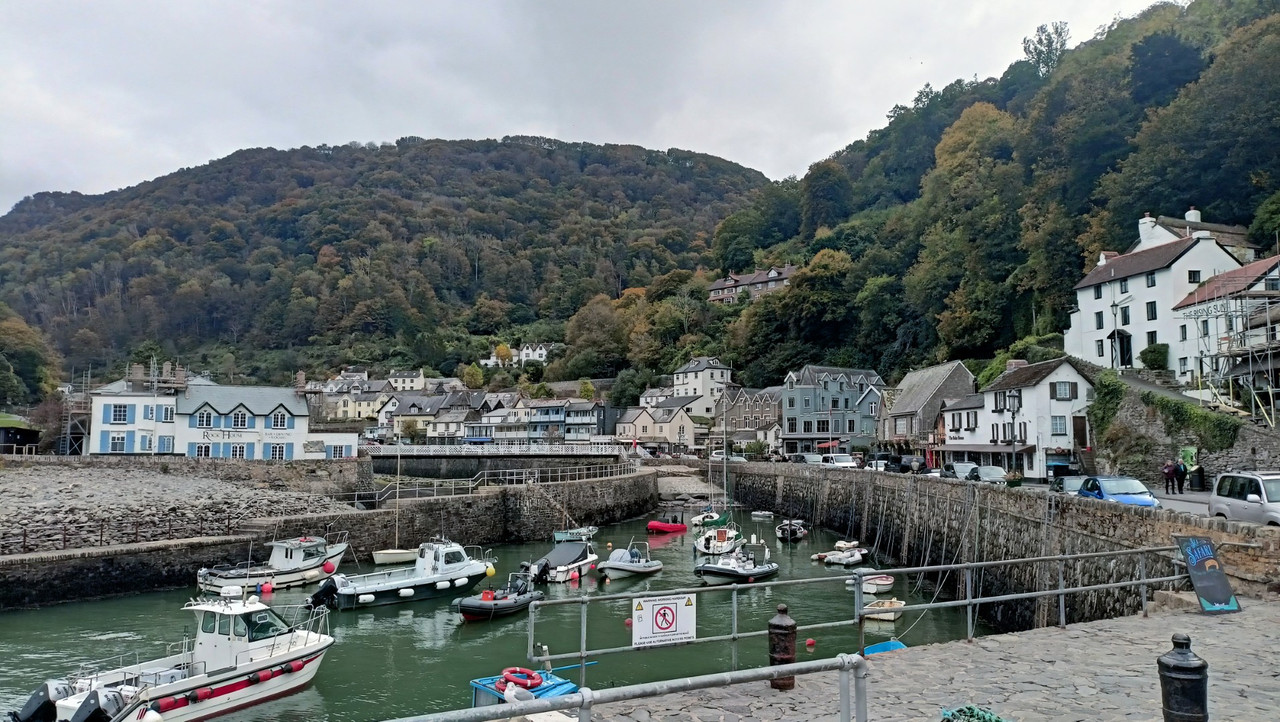 IMG20251016145316 (Large)