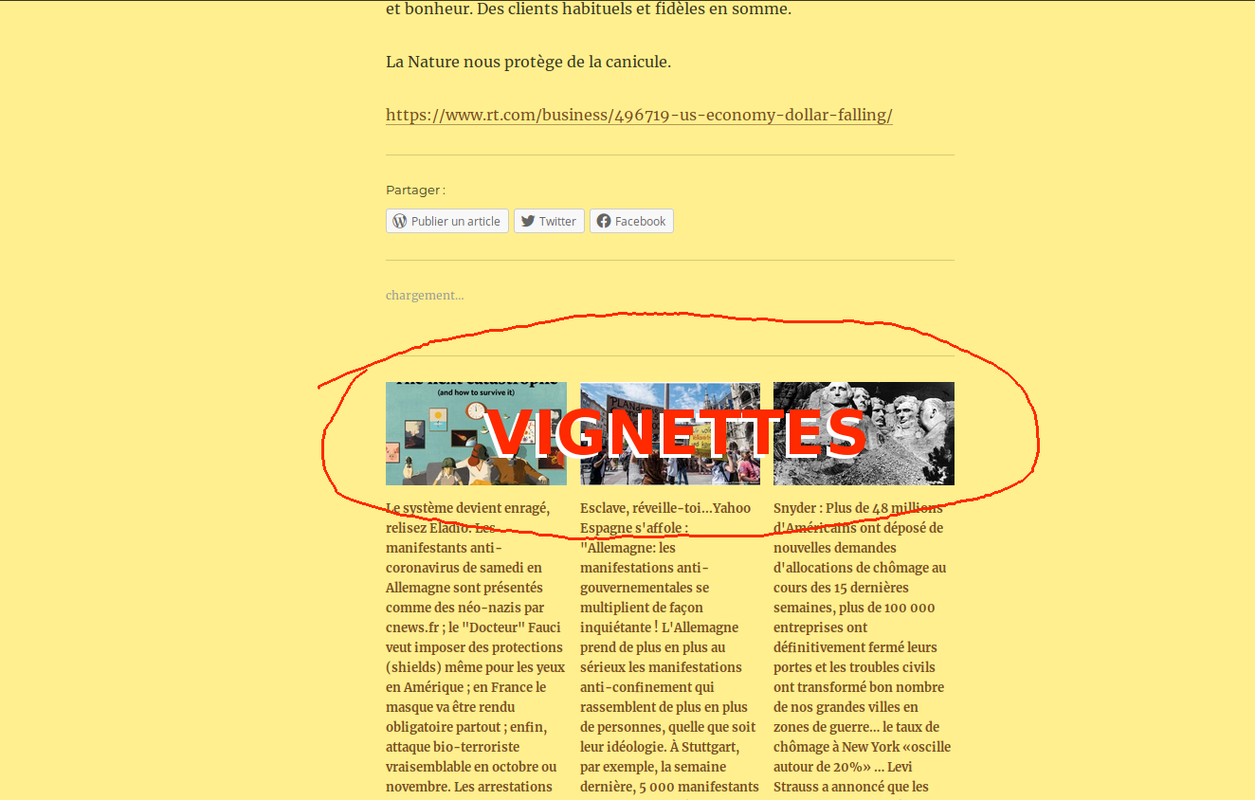 vignettes_wordpress