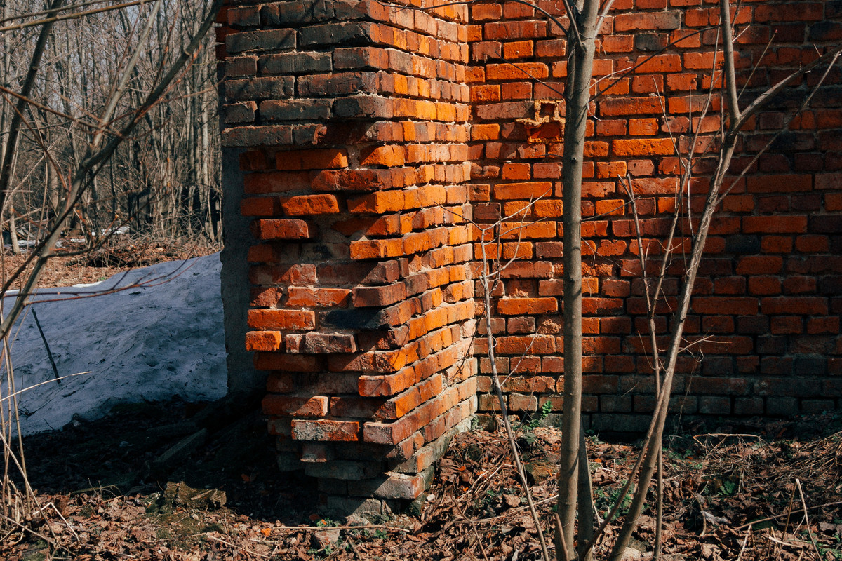 0263 2021 04 11 20 D IMG 0770 — Postimages