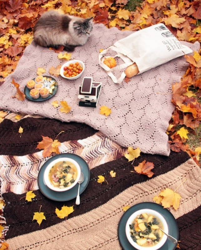 Screenshot_20231207_154326_Instagram