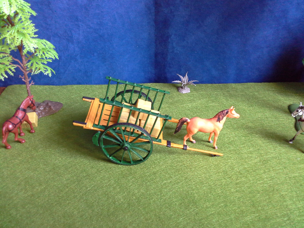 Antiguo Carro Manchego 08