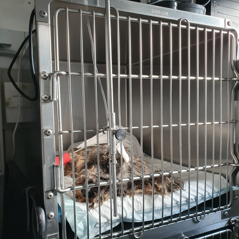 [Image: 20210603-193150.jpg]