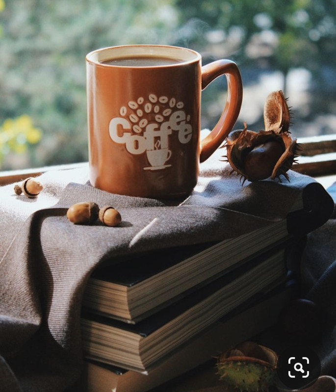 Screenshot_20230830_230633_Pinterest