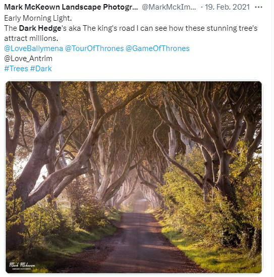 The Dark Hedges