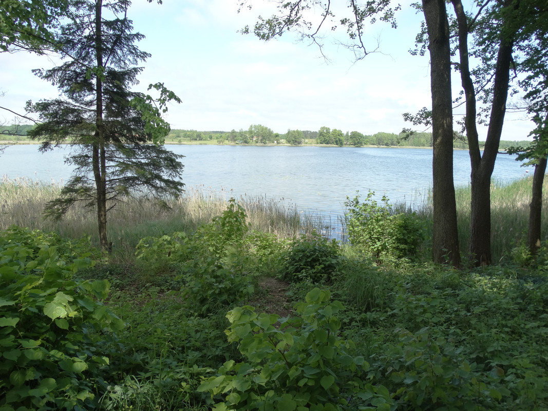 14 - DSC03835 (Czesio1)