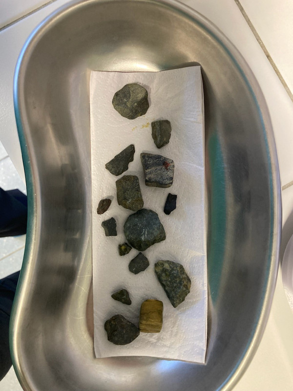 [Image: image000000-274.jpg]