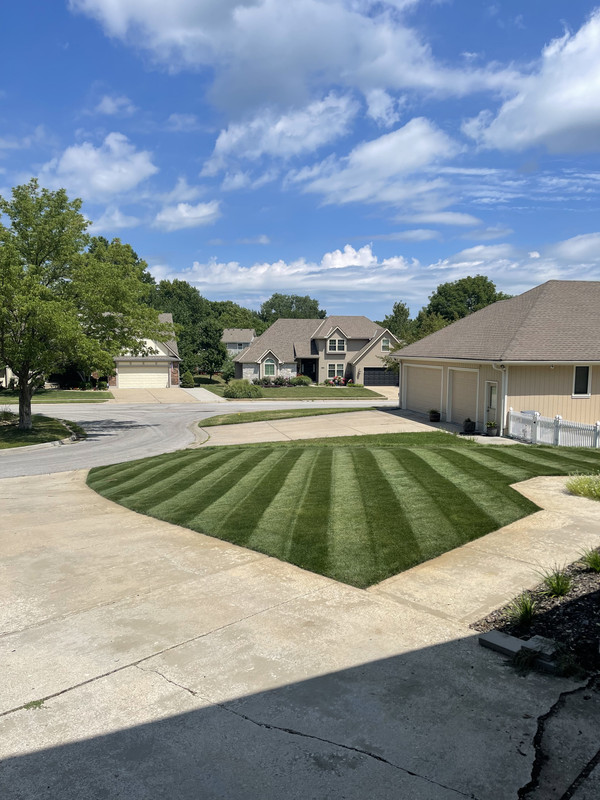 4D151419-DDF8-4A8E-A6DC-261D03C83A0F