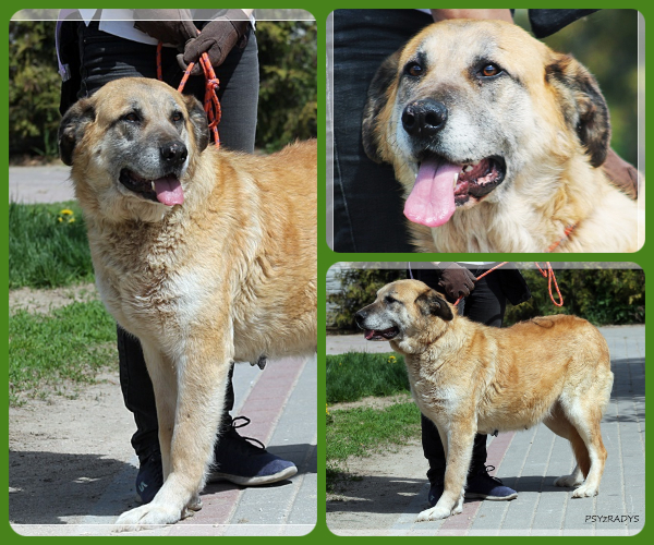 BeFunky-collage (18)