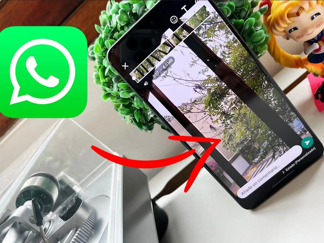 Esto debes hacer para que tus estados de WhatsApp tengan stickers animados