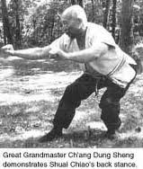 Chang-fighting-posture.jpg