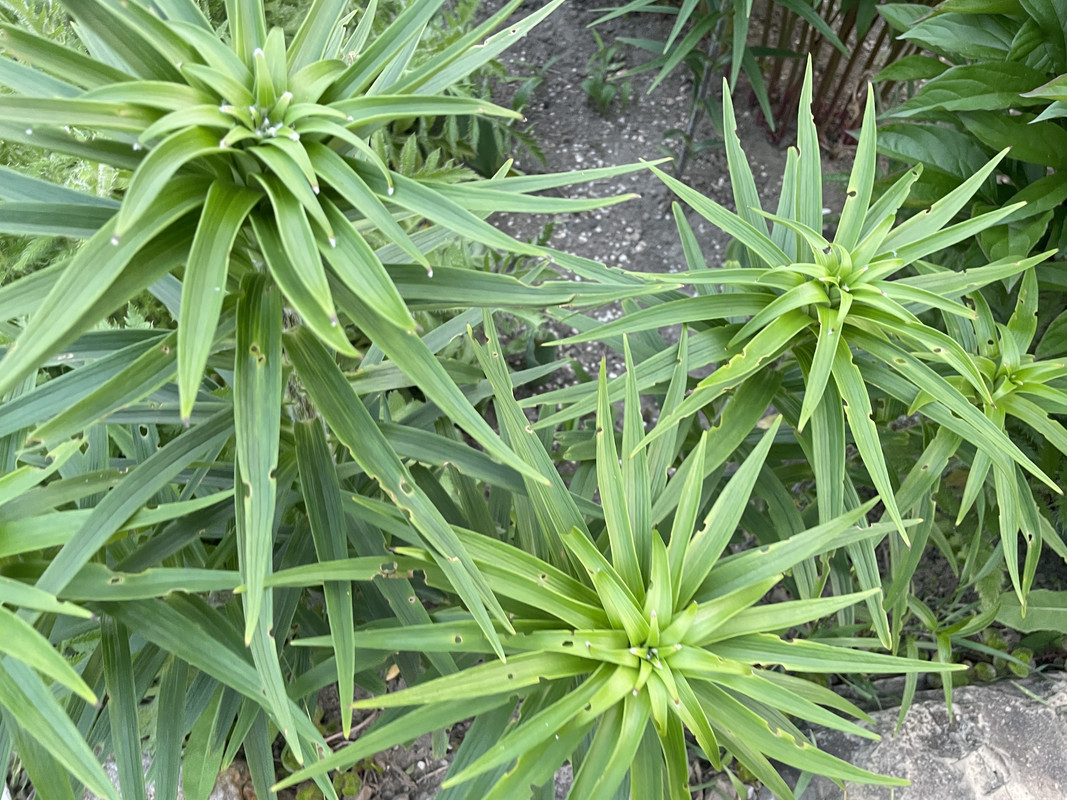 D4CF0852-3920-4A83-8A17-6C1A3537D3B5