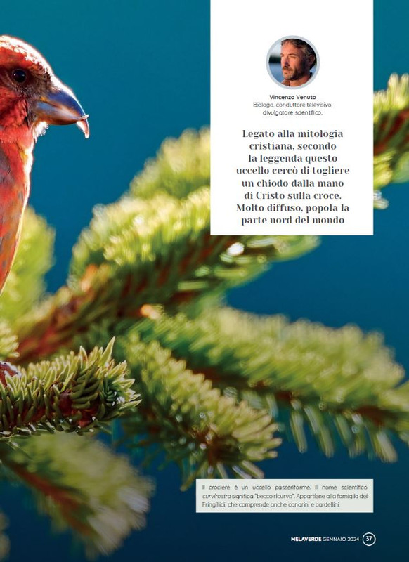 melaverde Gen 2024 (4)