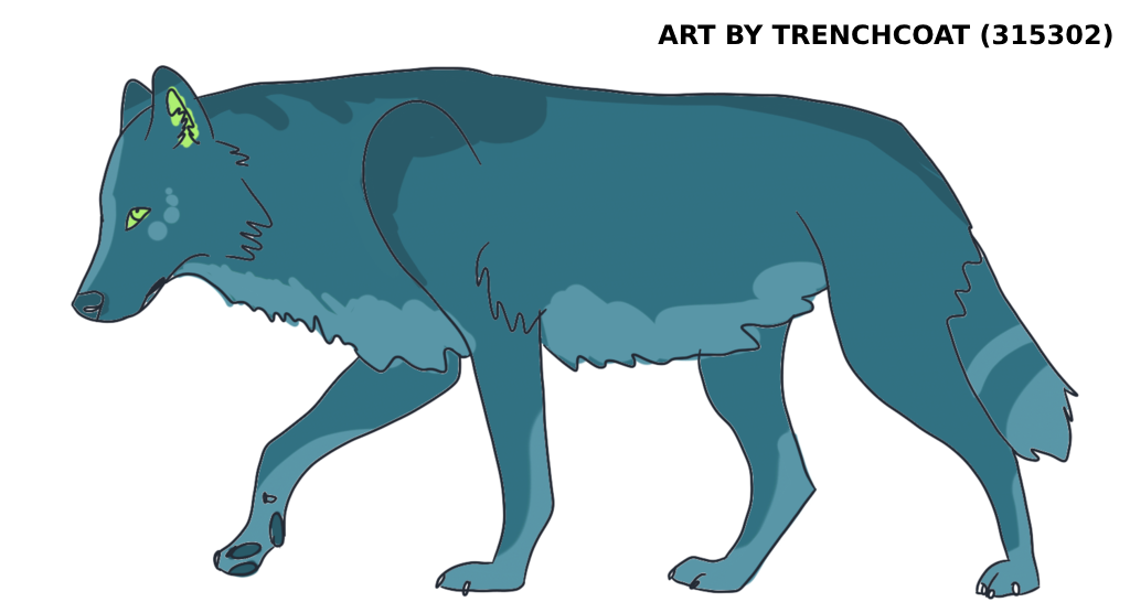 IMG-4096.png