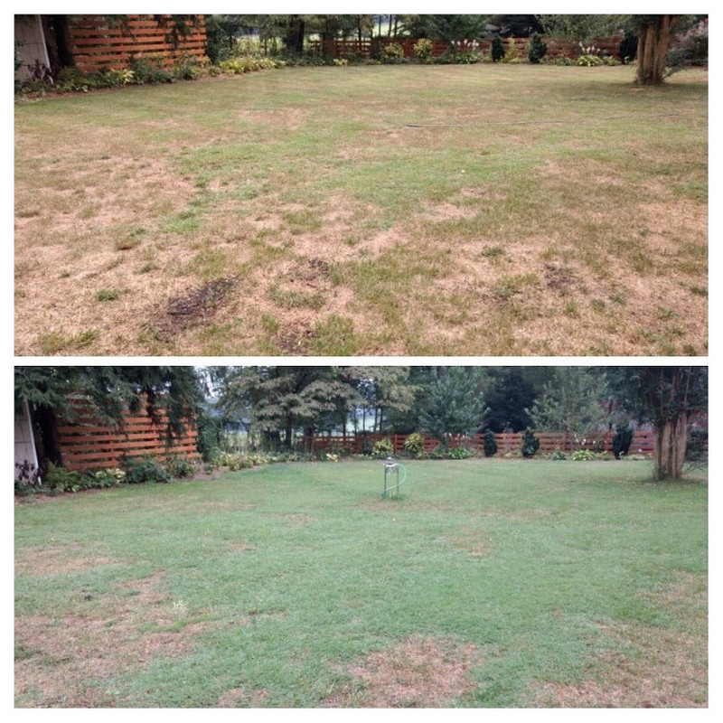 progress yard - bermuda