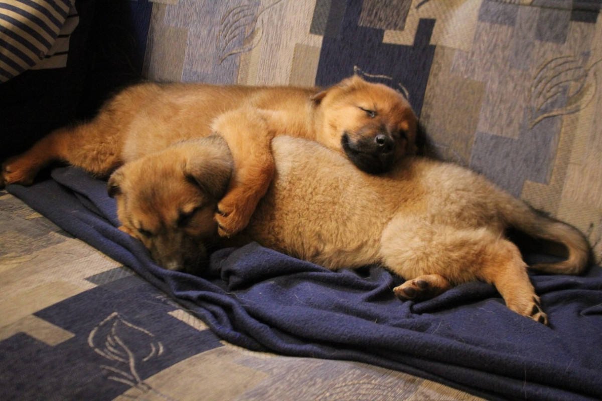 B58FC583-7F50-4983-A43D-9D6EC8968A66