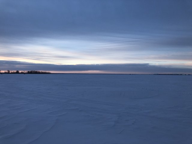 D226B993-3760-4524-BB10-234DC4A6E474