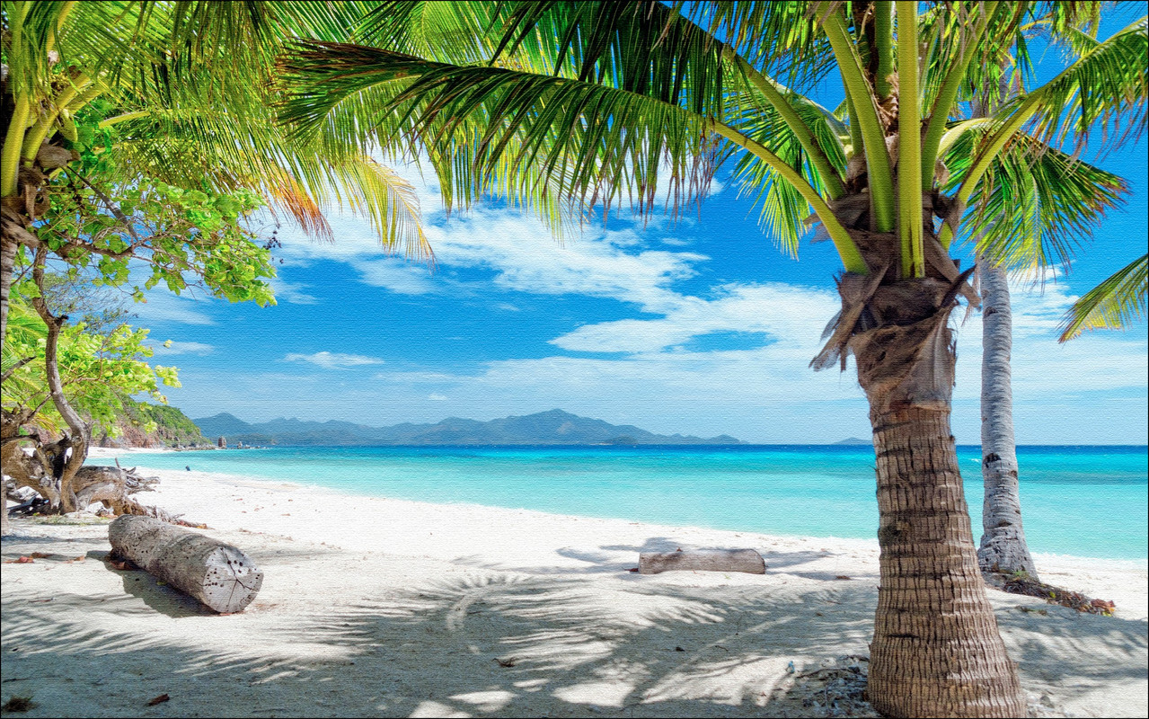 Summer-beach-sand-palm-trees-2560x1600.jpg